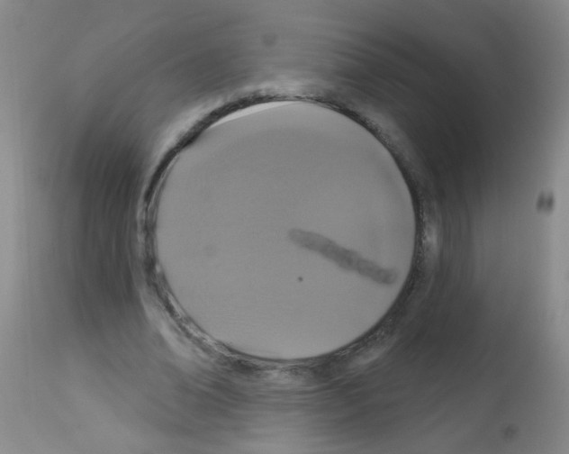 X0000113060678200910091144