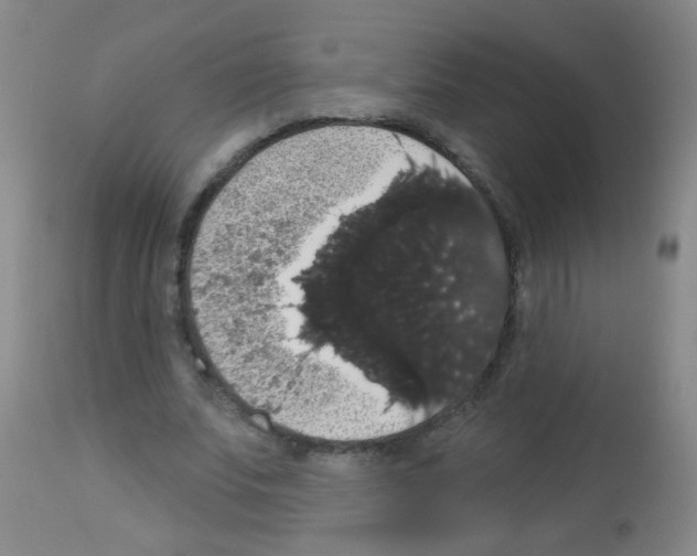 X0000113060679200910091144