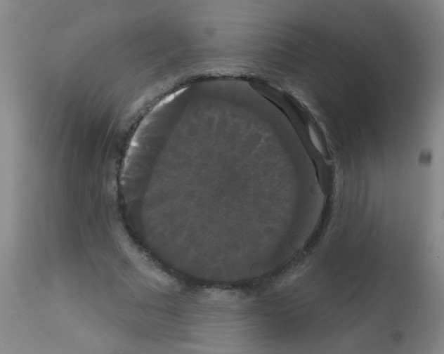 X0000113060681200910091144
