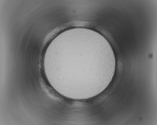 X0000113060682200910091144