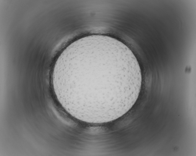 X0000113060686200910091144