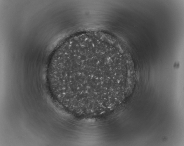 X0000113060687200910091144