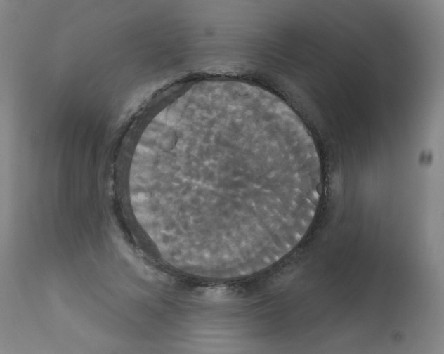 X0000113060688200910091144