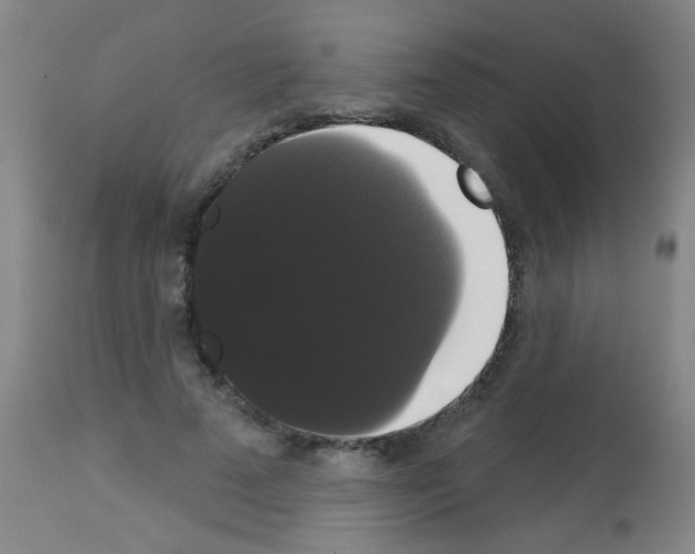 X0000113060689200910091144