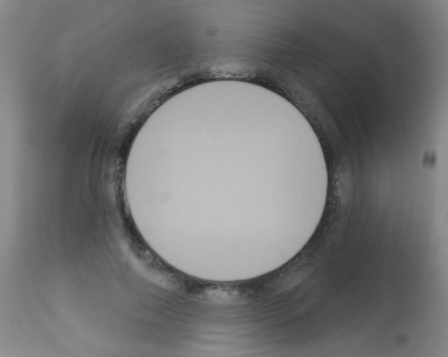 X0000113060690200910091144