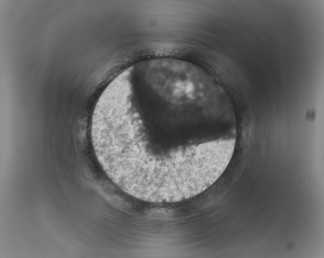 X0000113060691200910091144