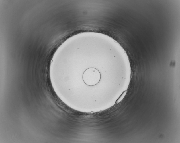 X0000113060692200910091144