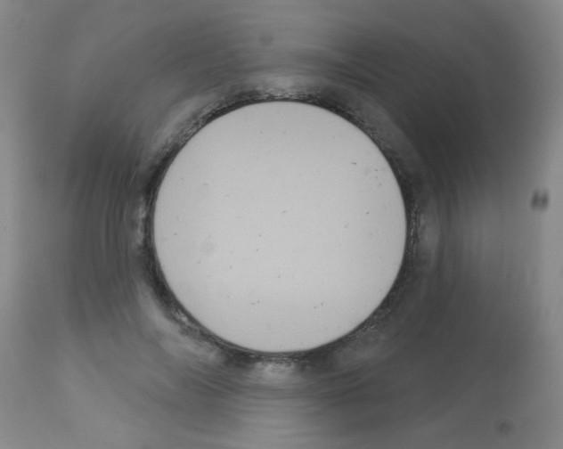 X0000113060694200910091144