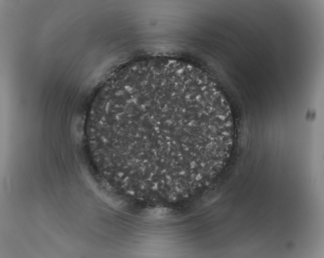 X0000113060695200910091144