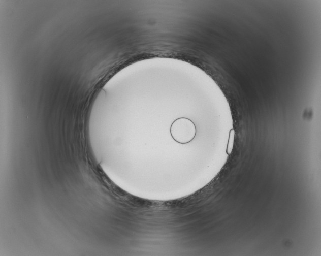 X0000113060696200910091144