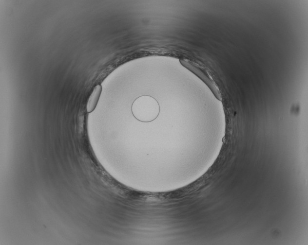 X0000113060697200910091144