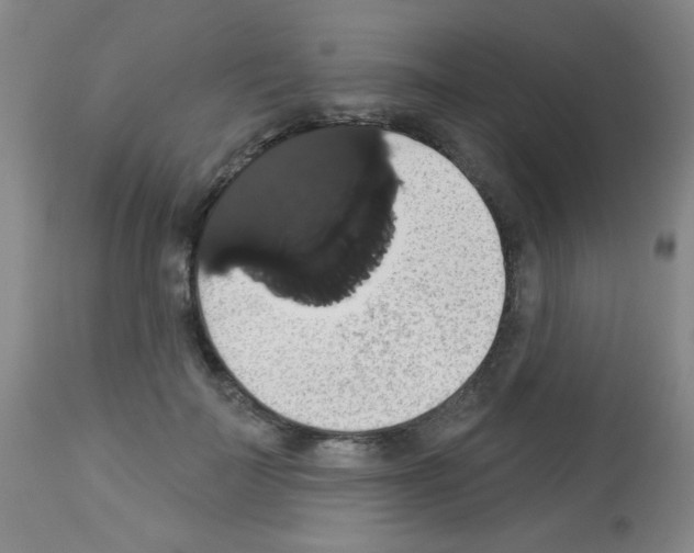 X0000113060699200910091144