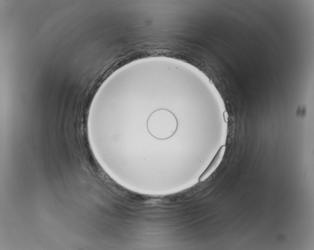 X0000113060700200910091144