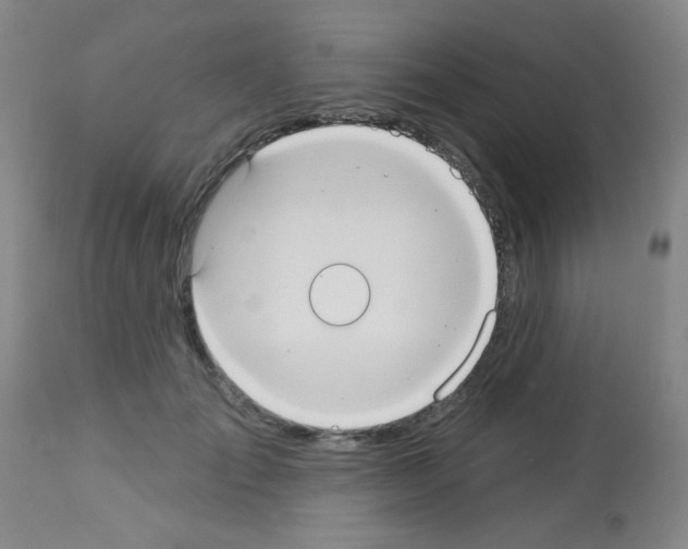 X0000113060701200910091144