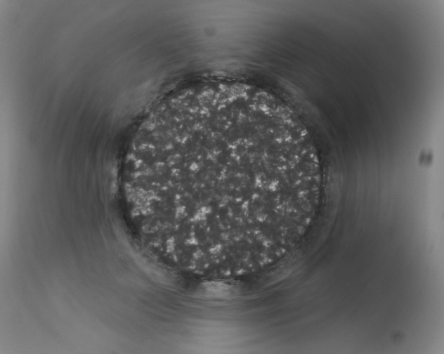 X0000113060703200910091144