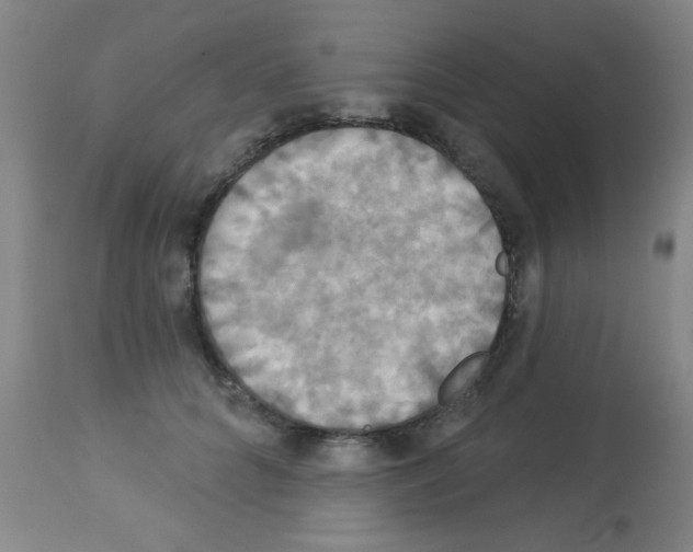 X0000113060704200910091144