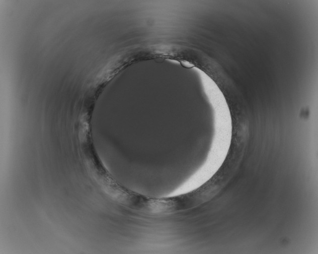 X0000113060707200910091144