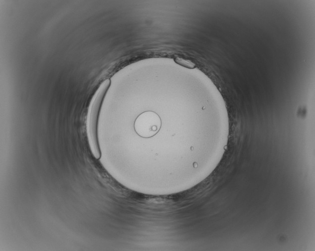 X0000113060708200910091144