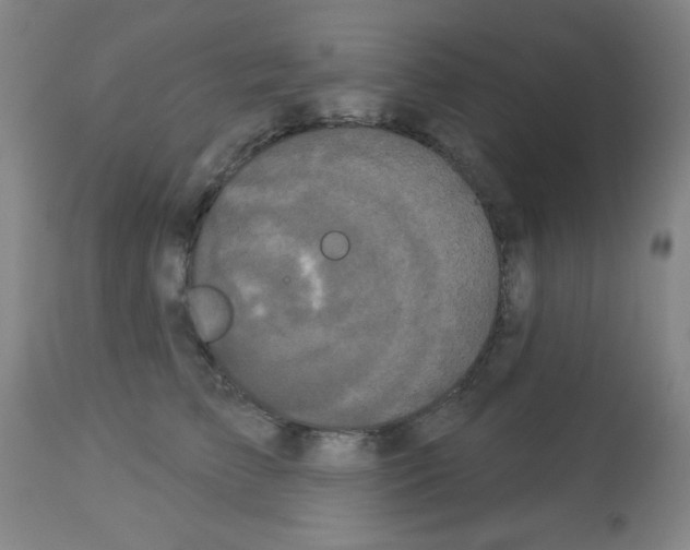 X0000113060709200910091144