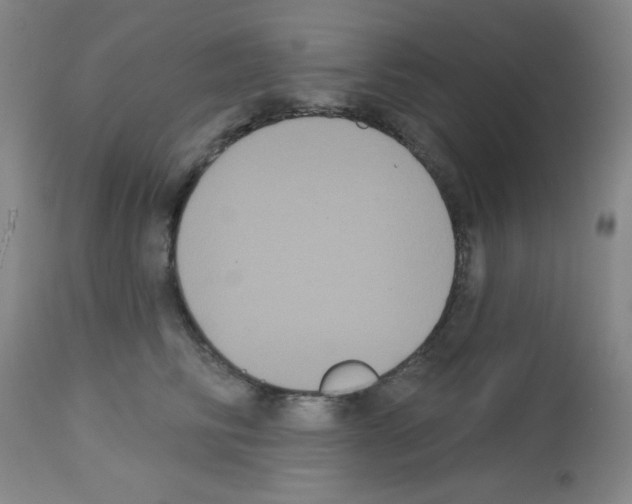 X0000113060710200910091144