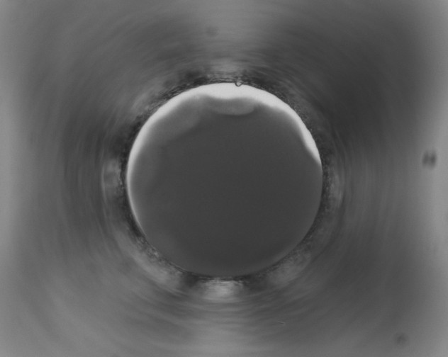X0000113060711200910091144