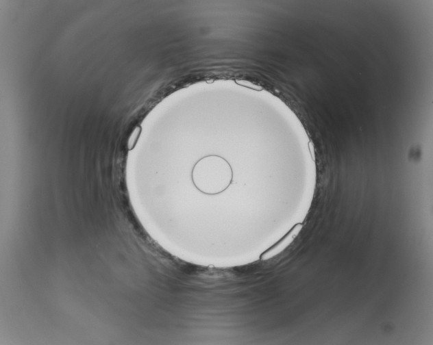 X0000113060712200910091144