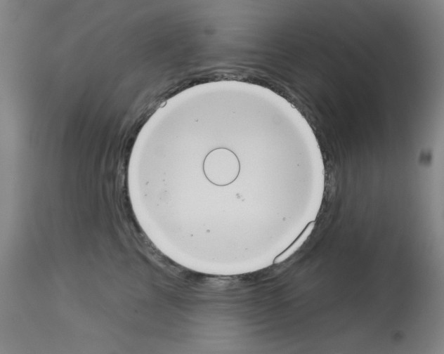 X0000113060713200910091144
