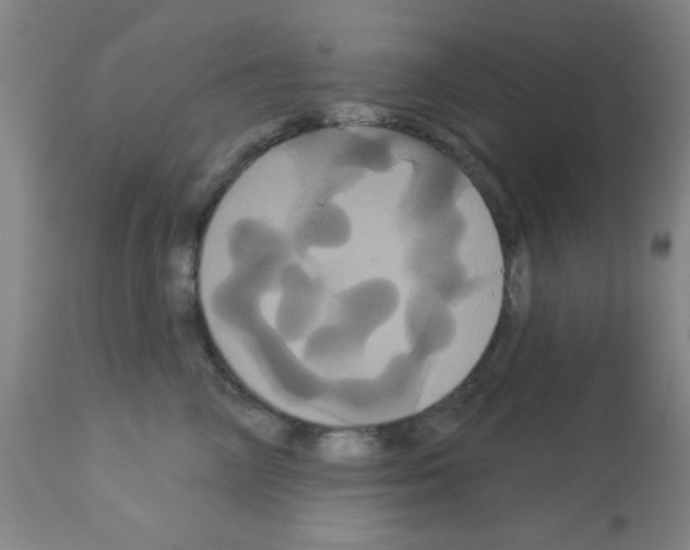 X0000113060714200910091144