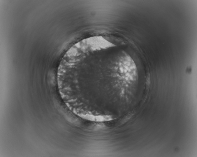 X0000113060715200910091144