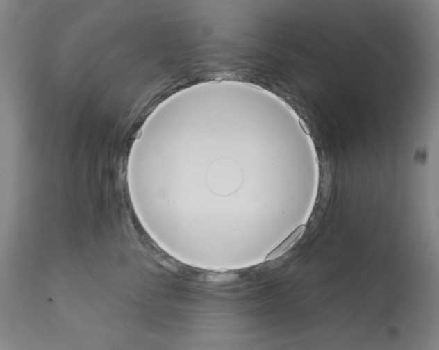 X0000113060716200910091143