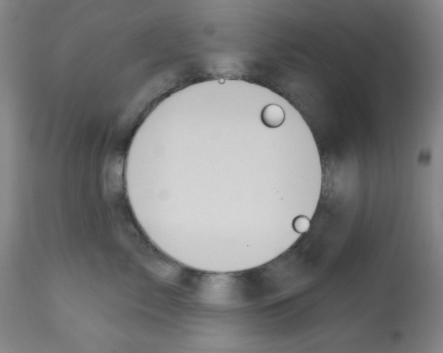 X0000113060717200910091143
