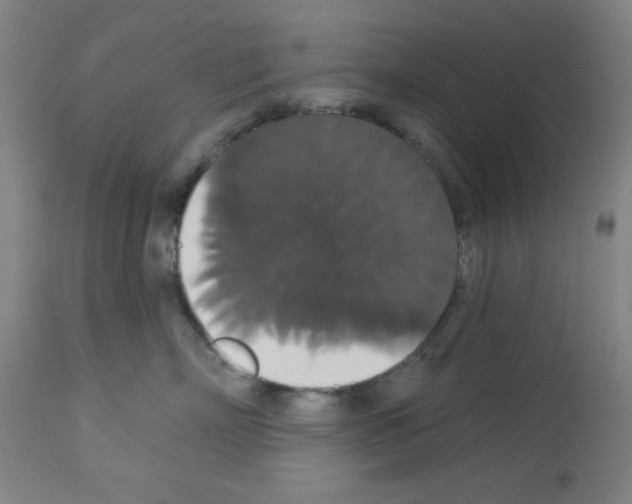 X0000113060718200910091143