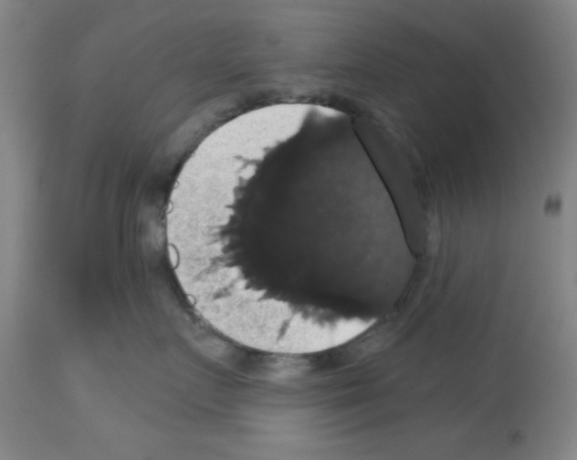 X0000113060719200910091143