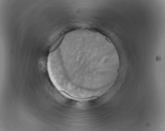 X0000113060720200910091143