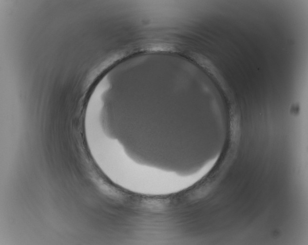 X0000113060721200910091143