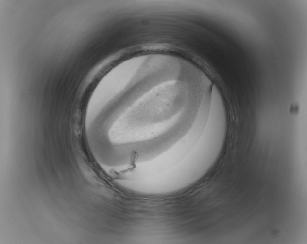X0000113060724200910091143