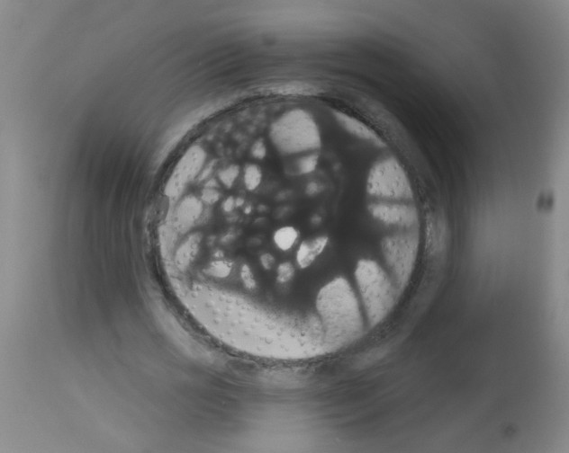 X0000113060725200910091143