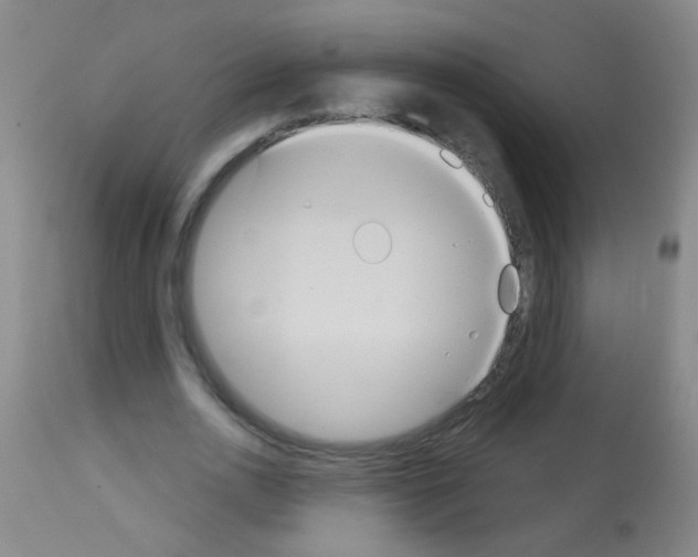 X0000113060726200910091143