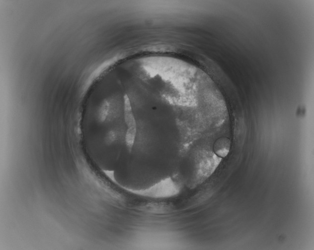 X0000113060727200910091143