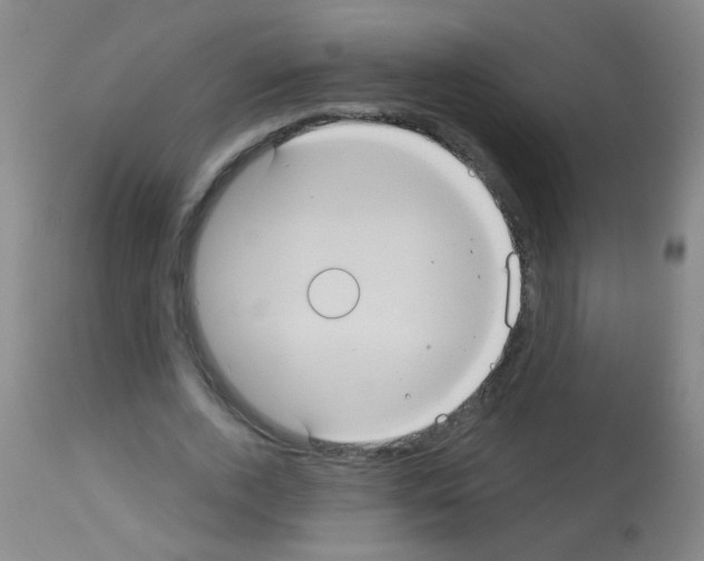 X0000113060728200910091143