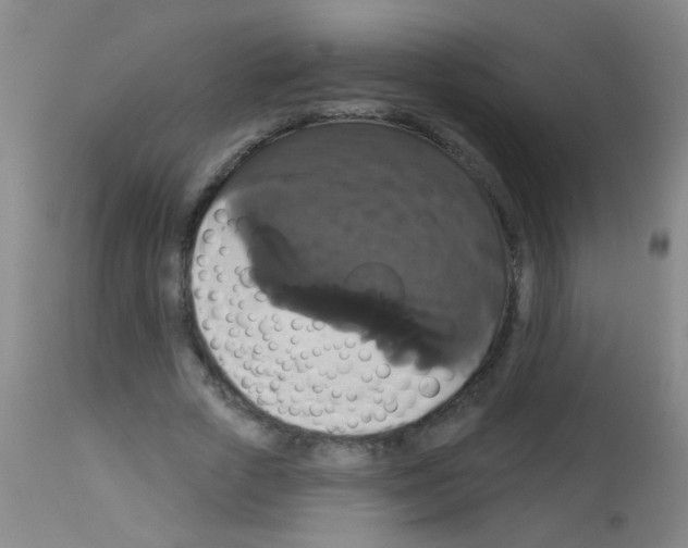 X0000113060729200910091143
