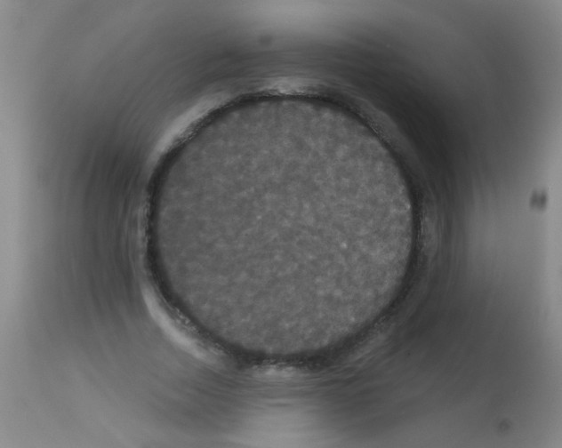 X0000113060730200910091143