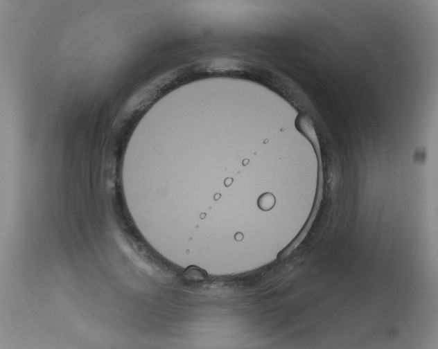 X0000113060732200910091143