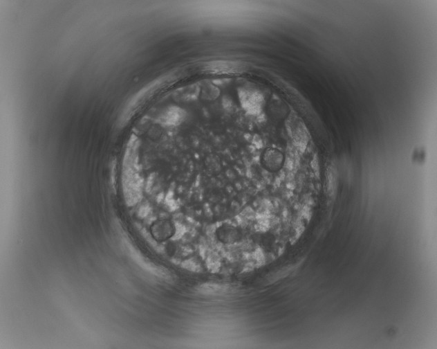 X0000113060733200910091143