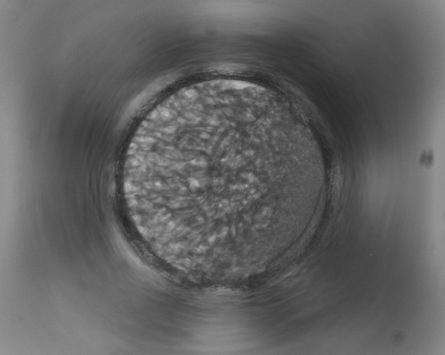 X0000113060734200910091143