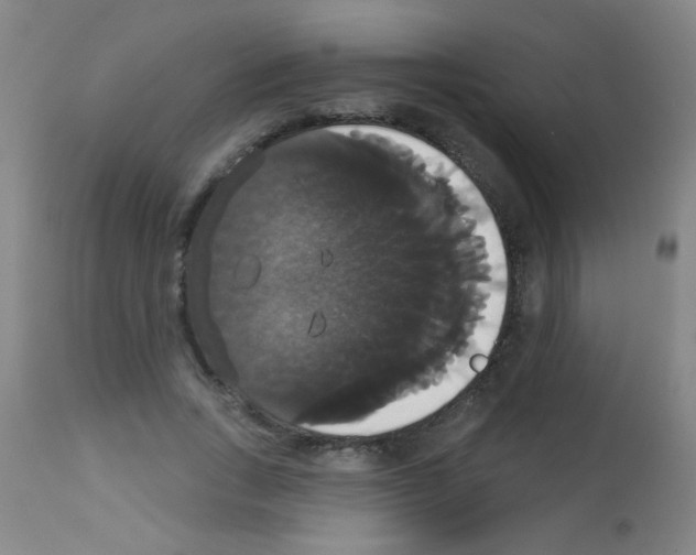 X0000113060735200910091143