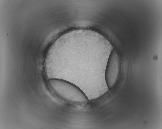 X0000113060736200910091143