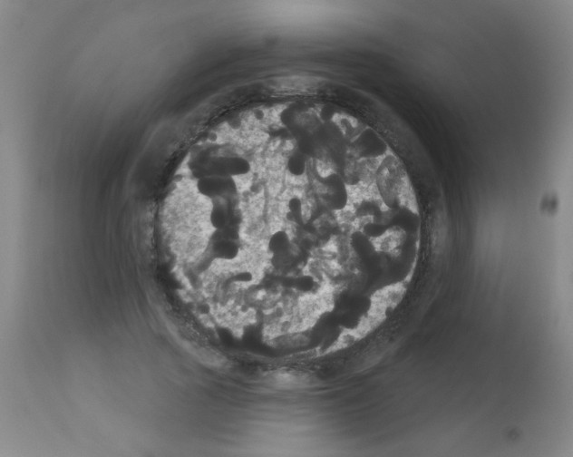 X0000113060737200910091143