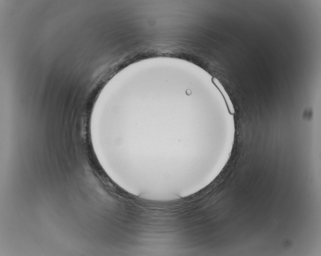 X0000113060740200910091143