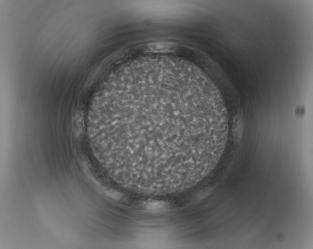 X0000113060741200910091143